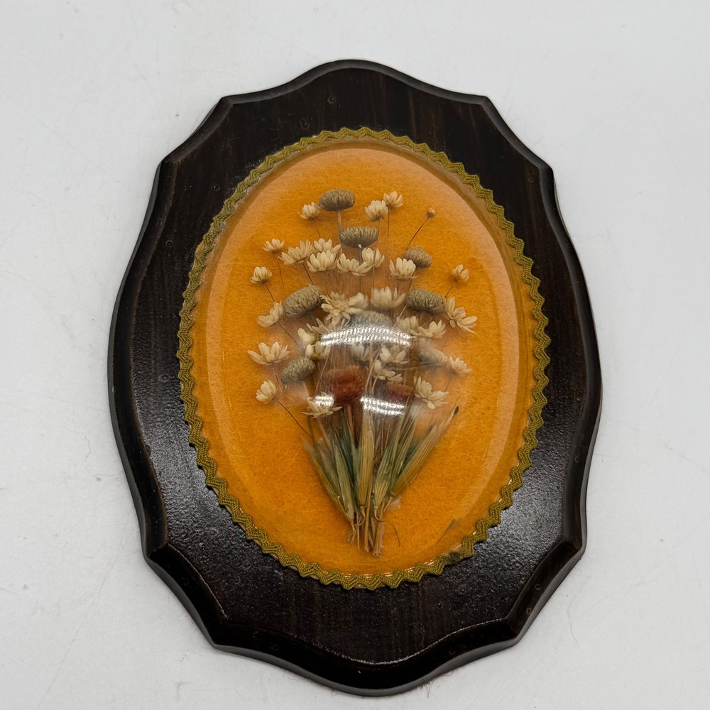 Vintage 1970s Dried Flower Bubble Glass Dome Plaque Mustard Yellow Velvet Wall
